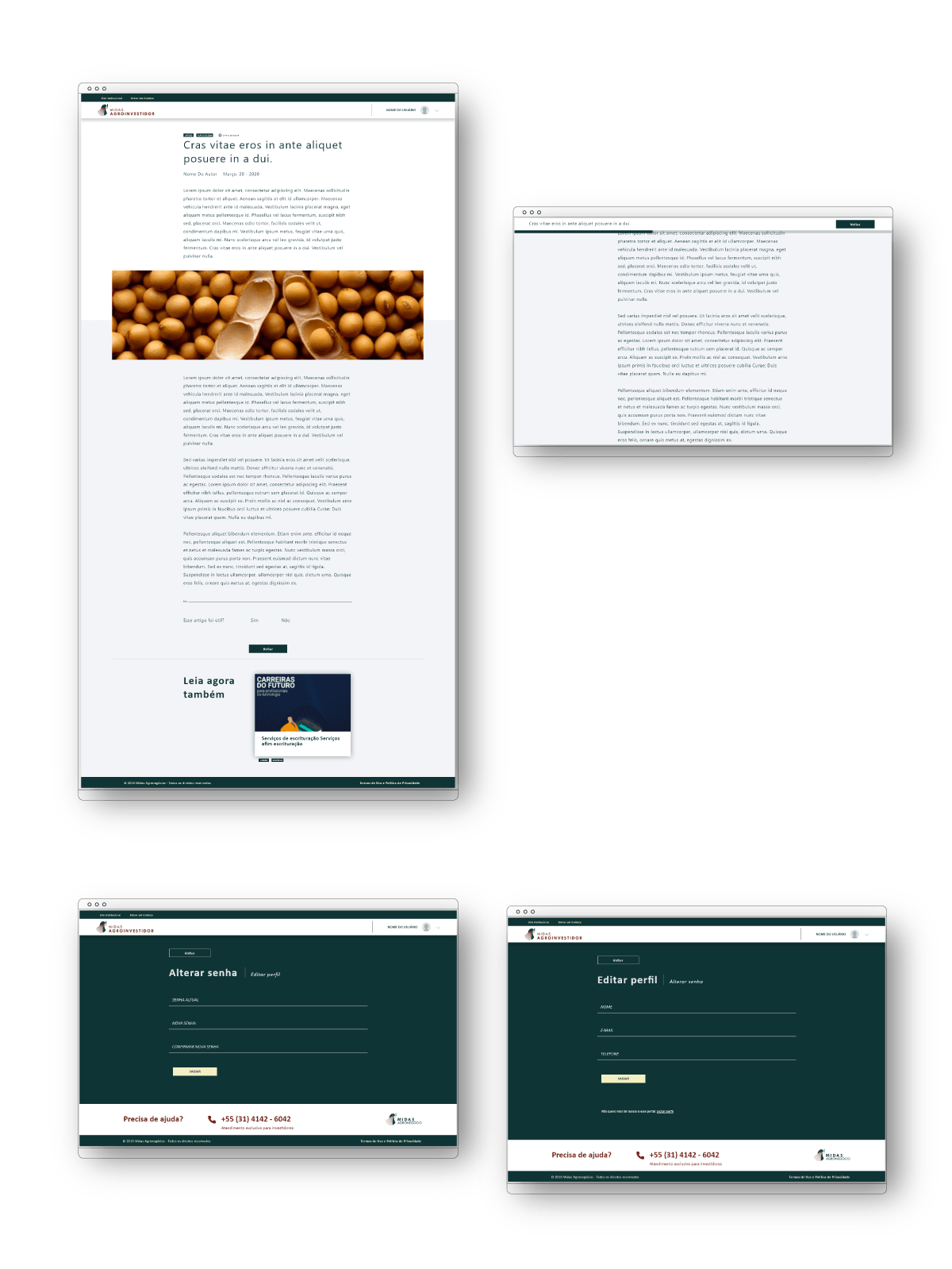 Layout Portal relação com o investidor Midas agronegócio