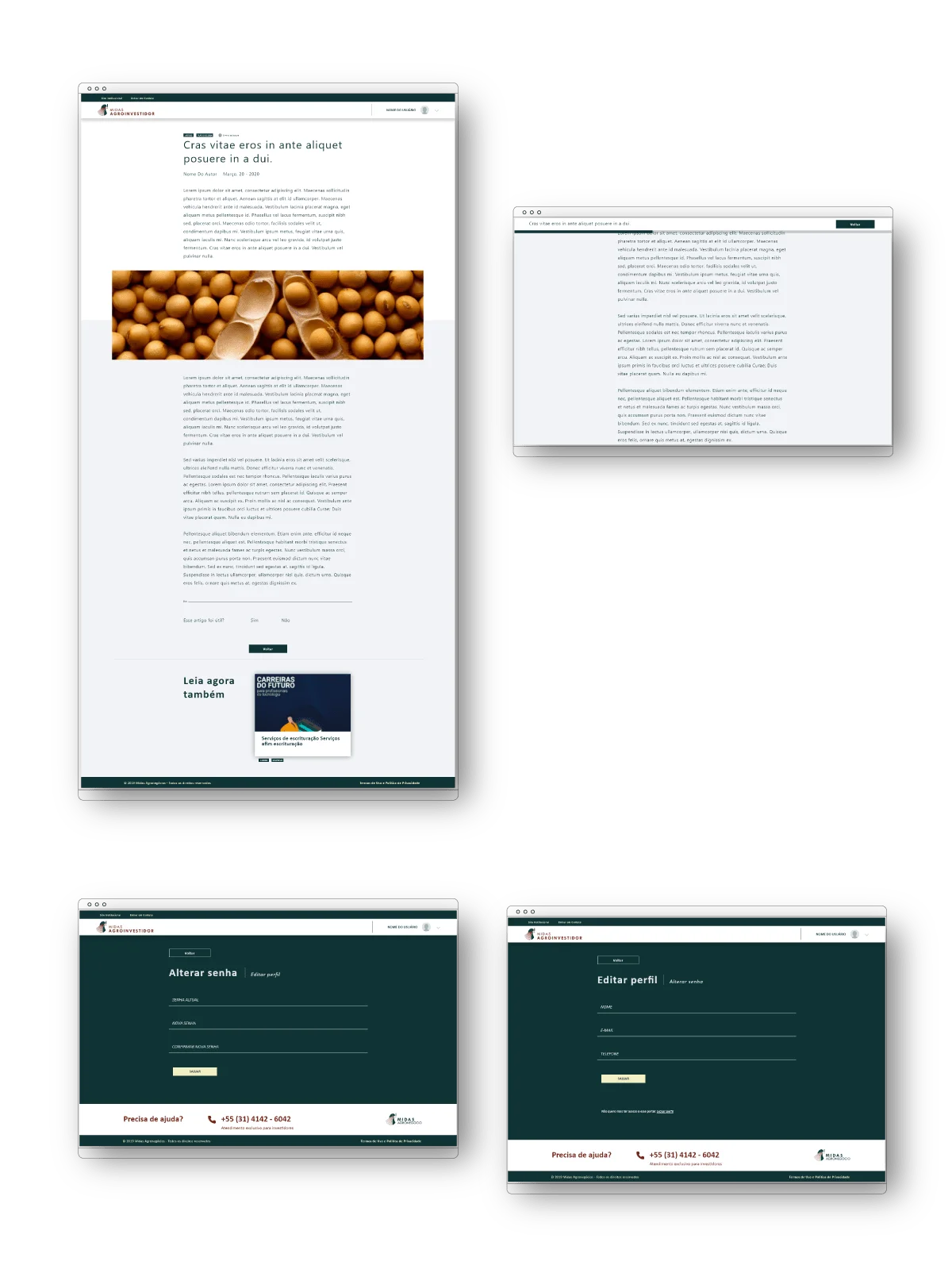 Layout Portal relação com o investidor Midas agronegócio