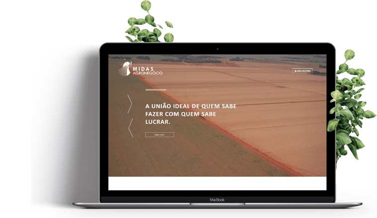 website-intitucional-resposivo-computador2